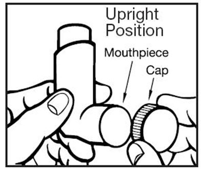 Image Of Figure 1 (Figure 1)